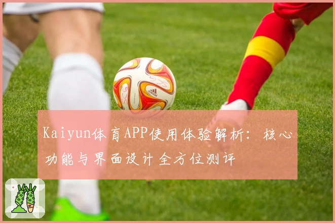 Kaiyun体育APP使用体验解析：核心功能与界面设计全方位测评
