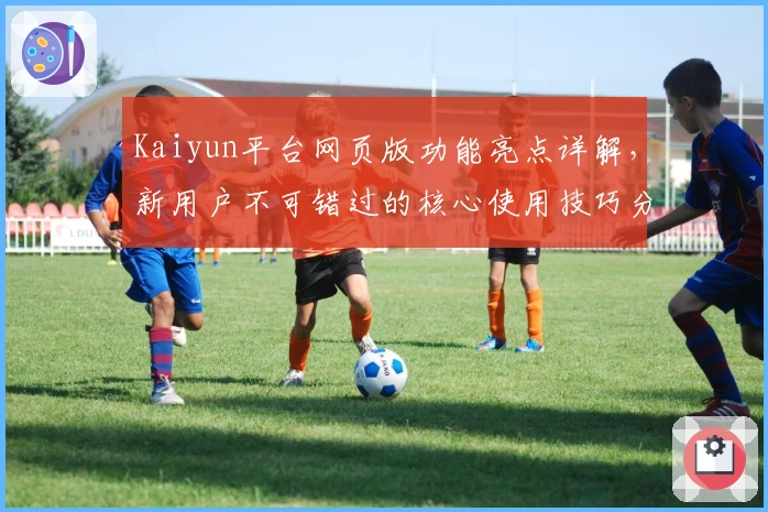 Kaiyun平台网页版功能亮点详解,新用户不可错过的核心使用技巧分享
