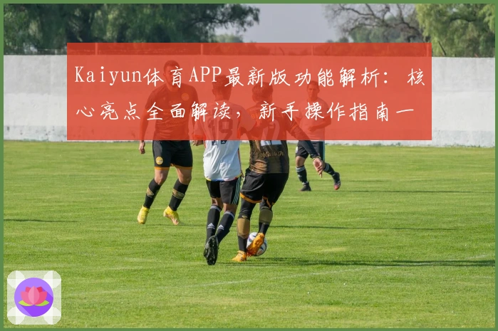 Kaiyun体育APP最新版功能解析：核心亮点全面解读，新手操作指南一文掌握