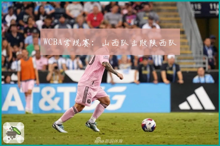 WCBA常规赛：山西队击败陕西队